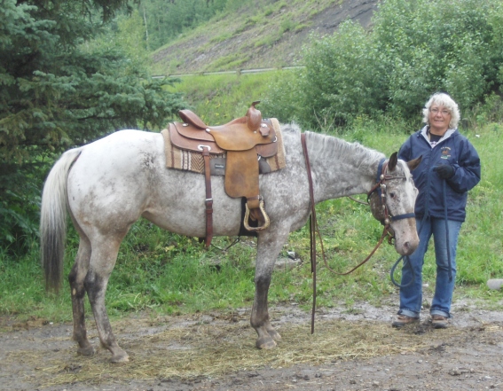 Reserve Grand Champion Mare