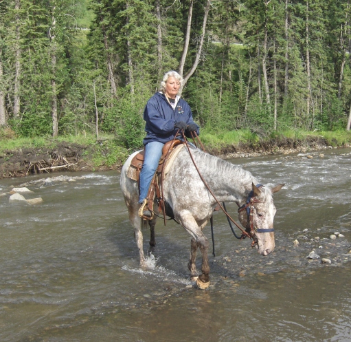 Reserve Grand Champion Mare