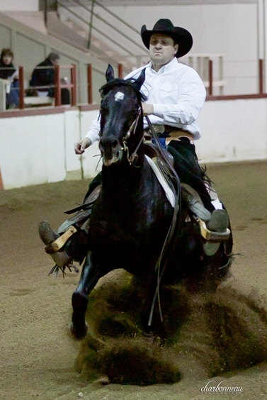 Sunset Stock Horses