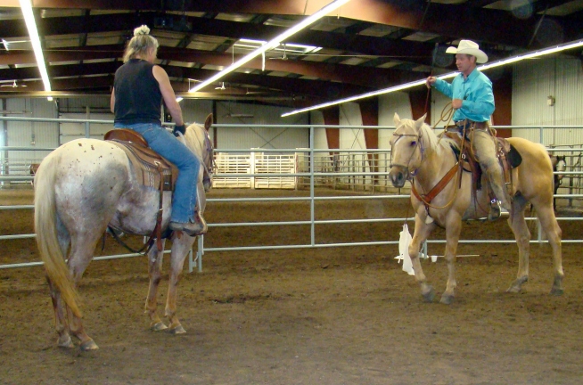 Sunset Stock Horses