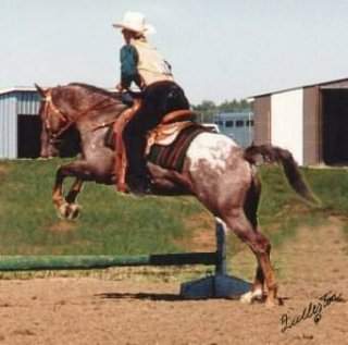 Tex's 1st jump